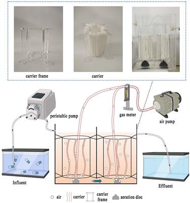 Responses of the microbial community and the production of extracellular polymeric substances to sulfamethazine shocks in a novel two-stage biological contact oxidation system